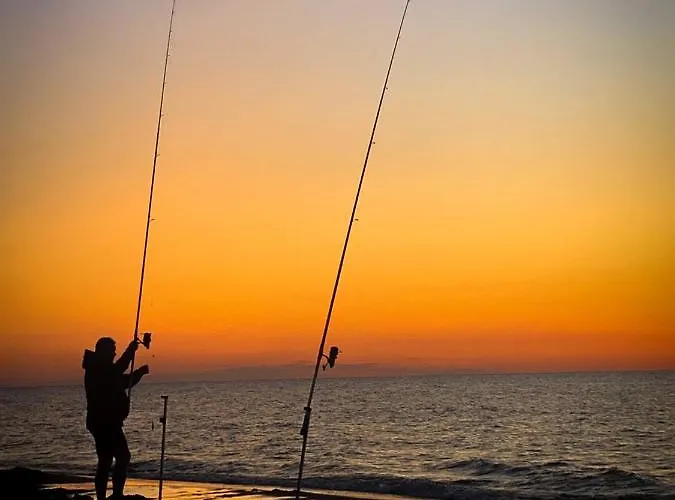 Sunny -sunny Side Baltic- Апартаменты *